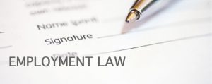 Employment Law Blake Turner