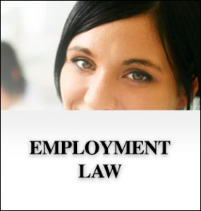 employment law icon 2