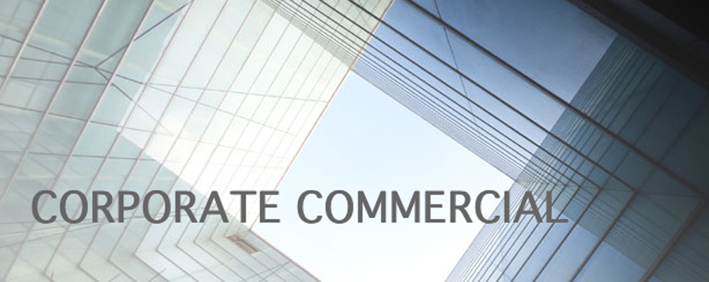 Blake-Turner Corporate Commercial Solicitors Shareholders Agreements