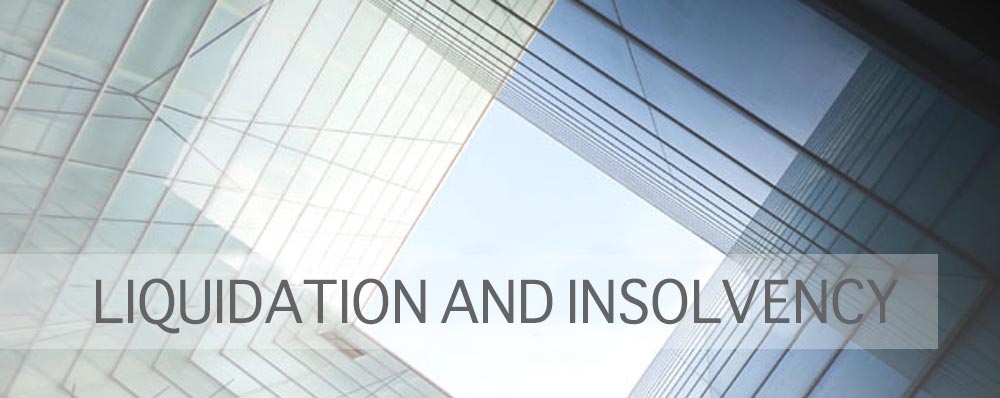 Liquidation and Insolvency Blake-Turner