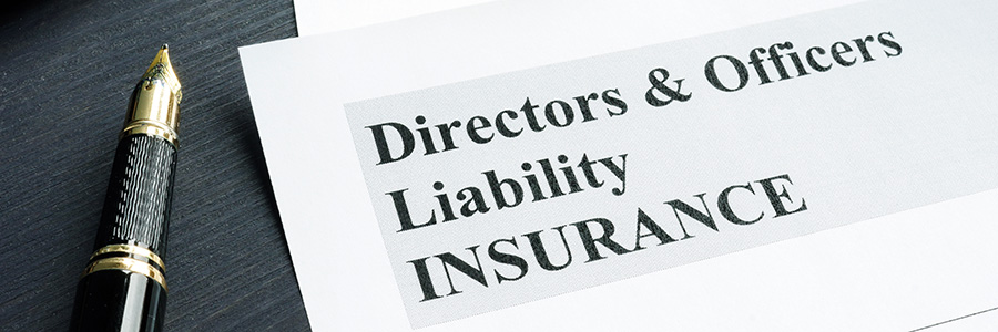 Directors and Officers Liability Insurance Policy Blake-Turner Solicitors