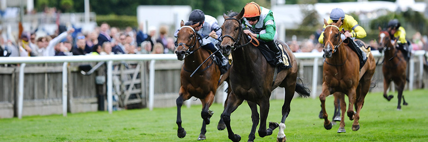 July Meeting at Newmarket Sponsored by Blake-Turner